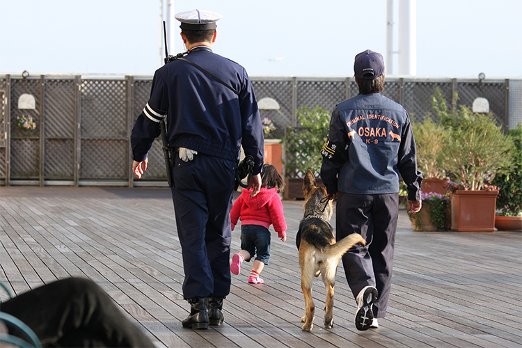 きな子との出会い